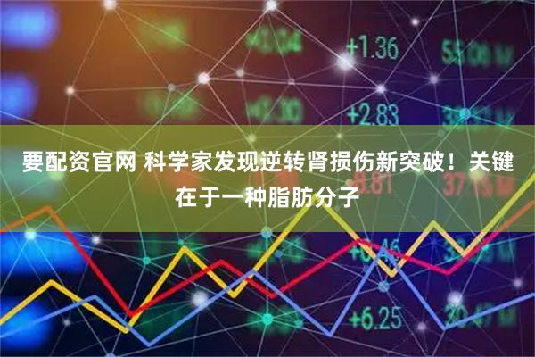 要配资官网 科学家发现逆转肾损伤新突破！关键在于一种脂肪分子